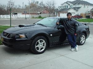 Mustang2 011.jpg